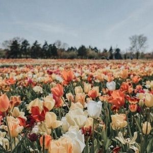 Meet your Posher, Leah